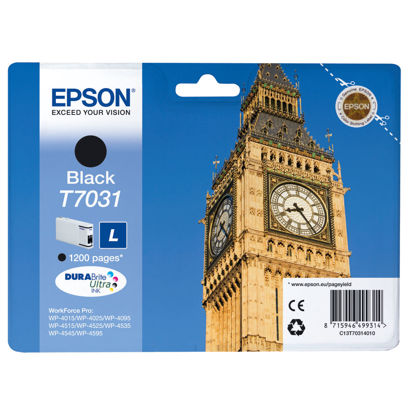 Picture of Epson T7031 Black Ink Cartridge - C13T70314010