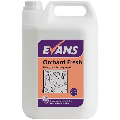 Picture of Evans 5 Litre Orchard Fresh Hand, hair and Body Wash - A153EEV2