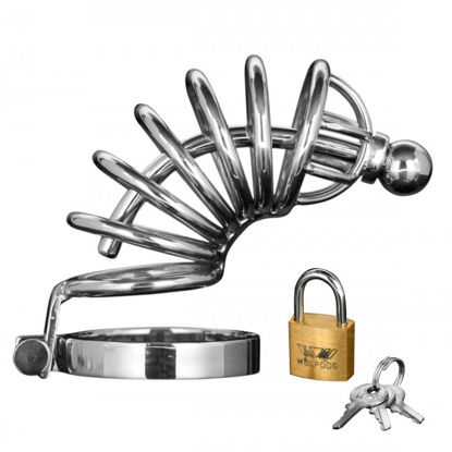 Picture of Asylum 6 Ring Locking Chastity Cage